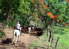 Costa Rica-Guanacaste-Tropical Riding Adventure